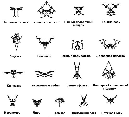 фенотипические эффекты